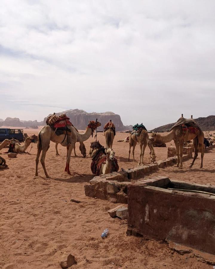 Wadi rum fun time tour's Esterno foto