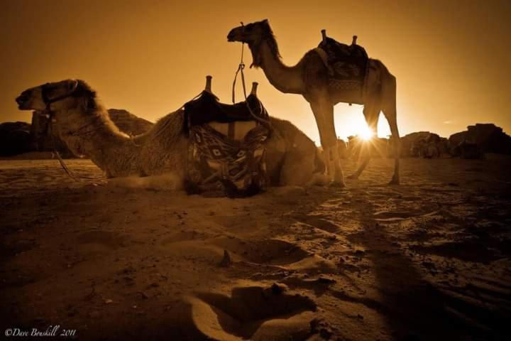 Wadi rum fun time tour's Esterno foto