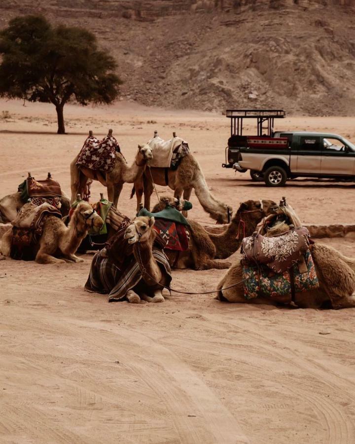 Wadi rum fun time tour's Esterno foto