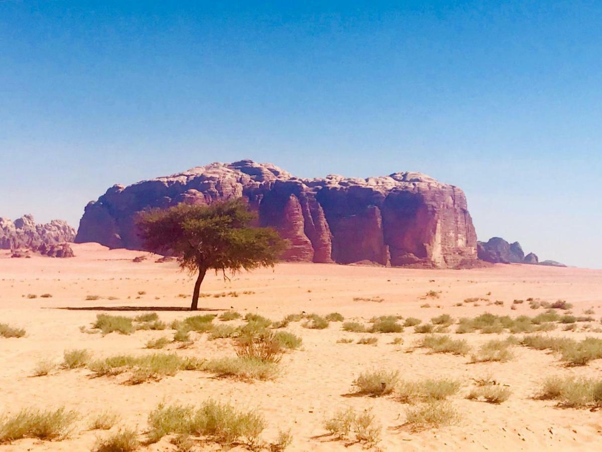 Wadi rum fun time tour's Esterno foto